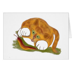 Orange Tiger-Kätzchen und eine pazifische
