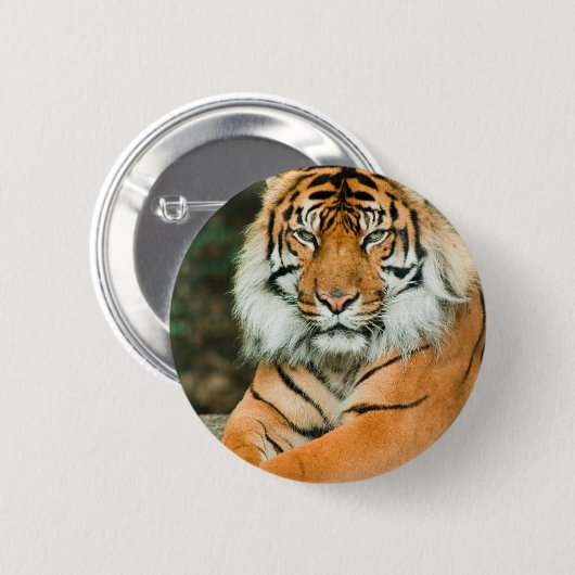 Orange Tiger-Knopf Button (Vorne & Hinten)
