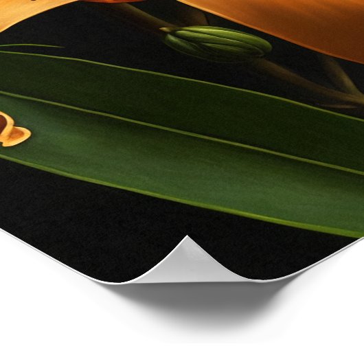 Orange Tiger Lilien Blume Art Print Poster (Ecke)