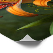 Orange Tiger Lilies Blume Art Print Poster (Ecke)