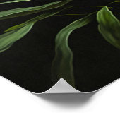 Orange Tiger Lilies Blume Art Print Poster (Ecke)