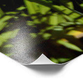 Orange Tiger Lilies Fotodruck (Ecke)