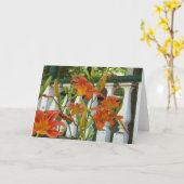 Orange Tiger Lilies - Martha's Vineyard Card Karte (Gelbe Blume)