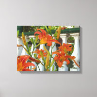 Orange Tiger Lilies - Martha's Vineyard