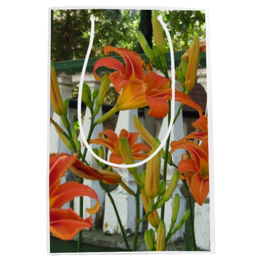 Orange Tiger Lilies - Martha's Vineyard Mittlere Geschenktüte (Vorderseite)