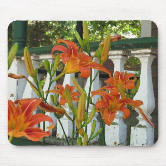 Orange Tiger Lilies - Martha's Vineyard Mousepad (Vorne)