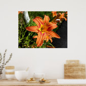 Orange Tiger Lilies Poster (Küche)