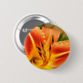 Orange Tiger Lily Abzeichen Button (Vorne & Hinten)
