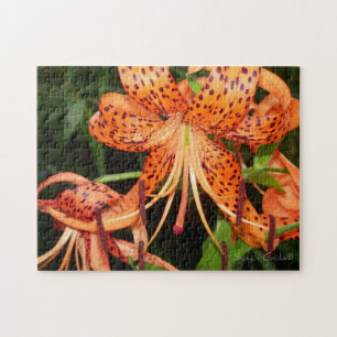 Orange Tiger Lily Blume Jigsaw Puzzle