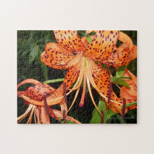 Orange Tiger Lily Blume Jigsaw Puzzle (Horizontal)