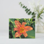 Orange Tiger Lily Blume Postkarte (Stehend Vorderseite)