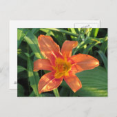 Orange Tiger Lily Blume Postkarte (Vorne/Hinten)