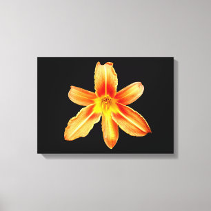 Orange Tiger Lily Canvas Print Leinwanddruck