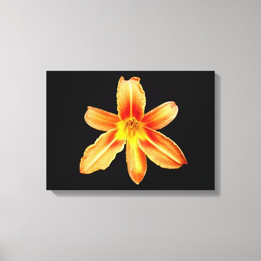 Orange Tiger Lily Canvas Print Leinwanddruck (Vorderseite)