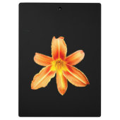 Orange Tiger Lily Clipboard Klemmbrett (Rückseite)