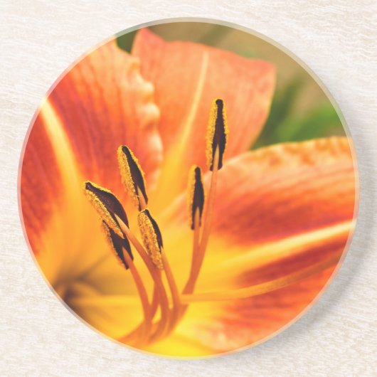 Orange Tiger Lily Getränkeuntersetzer (Vorne)