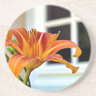 Orange Tiger Lily Getränkeuntersetzer