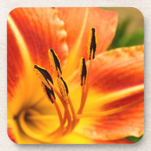 Orange Tiger Lily Getränkeuntersetzer