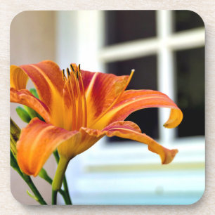 Orange Tiger Lily Getränkeuntersetzer