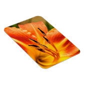Orange Tiger Lily Magnet (Rechte Seite)