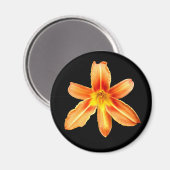 Orange Tiger Lily Magnet (Vorderseite/Rückseite)