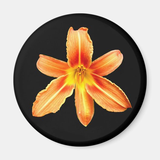 Orange Tiger Lily Magnet (Vorne)