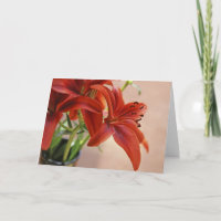 Orange Tiger Lily Nah-Up Foto Custom