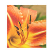 Orange Tiger Lily Notizblock (Vorderseite)