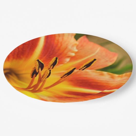 Orange Tiger Lily Paper Plate Pappteller (Schrägansicht)