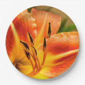 Orange Tiger Lily Paper Plate Pappteller (Vorderseite)