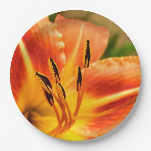 Orange Tiger Lily Paper Plate Pappteller (Vorderseite)