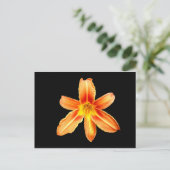 Orange Tiger Lily Postcard Postkarte (Stehend Vorderseite)
