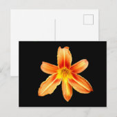 Orange Tiger Lily Postcard Postkarte (Vorne/Hinten)