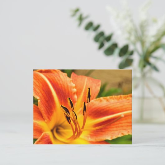 Orange Tiger Lily Postkarte (Stehend Vorderseite)