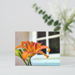 Orange Tiger Lily Postkarte