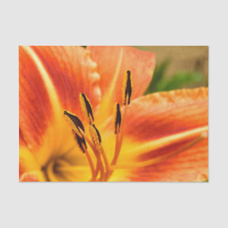 Orange Tiger Lily Seidenpapier