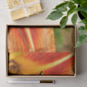 Orange Tiger Lily Seidenpapier (Geschenk)