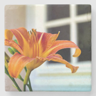 Orange Tiger Lily Steinuntersetzer