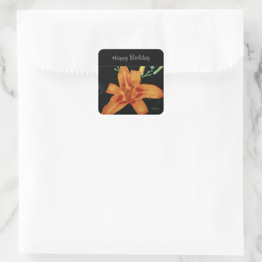 Orange Tiger Lily Sticker (Tasche)