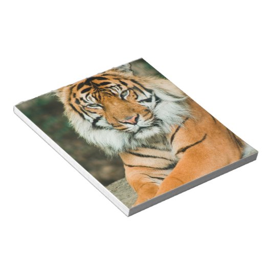 Orange Tiger Notepad Notizblock (angewinkelt)