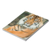 Orange Tiger Notepad Notizblock (Rotiert)