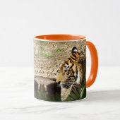 Orange Tiger-Tasse Tasse (VorderseiteRechts)