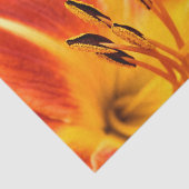 Orange Tigerlilie Seidenpapier (Ausschnitt)