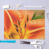 Orange Tigerlilie Seidenpapier (Handwerk)