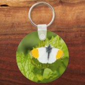 Orange-Tipp-Schmetterling Schlüsselanhänger (Vorderseite)