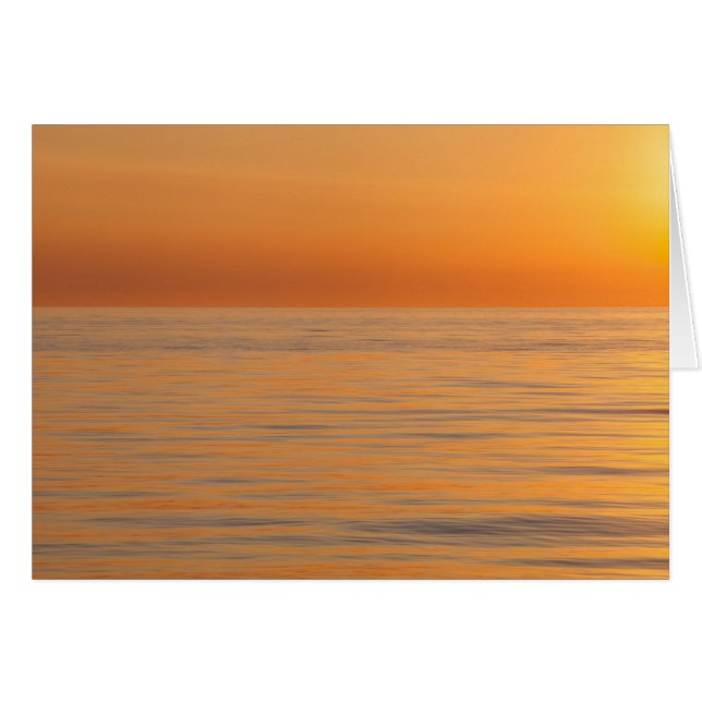 Orange Traumstrand (Vorderseite (Horizontal))