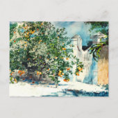 Orange Tree Gate Nassau Winslow Homer Postkarte (Vorderseite)