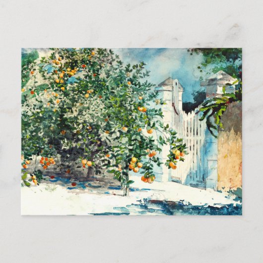 Orange Tree Gate Nassau Winslow Homer Postkarte (Vorderseite)