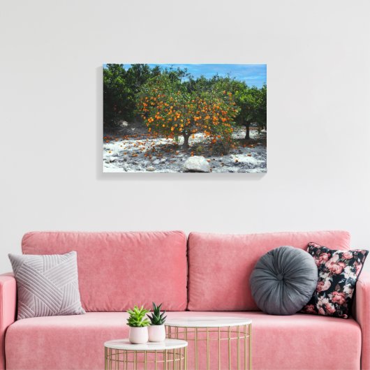 Orange Tree Leinwanddruck (Insitu (Wohnzimmer))