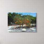 Orange Tree Leinwanddruck (Vorderseite)